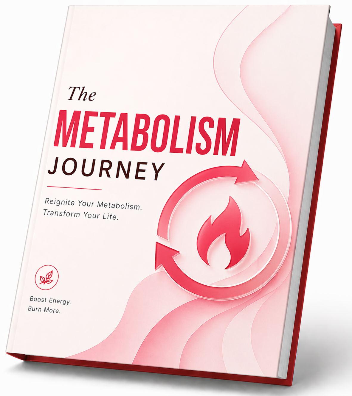 JellyThin official website The Metabolism Journey Guide bonus
